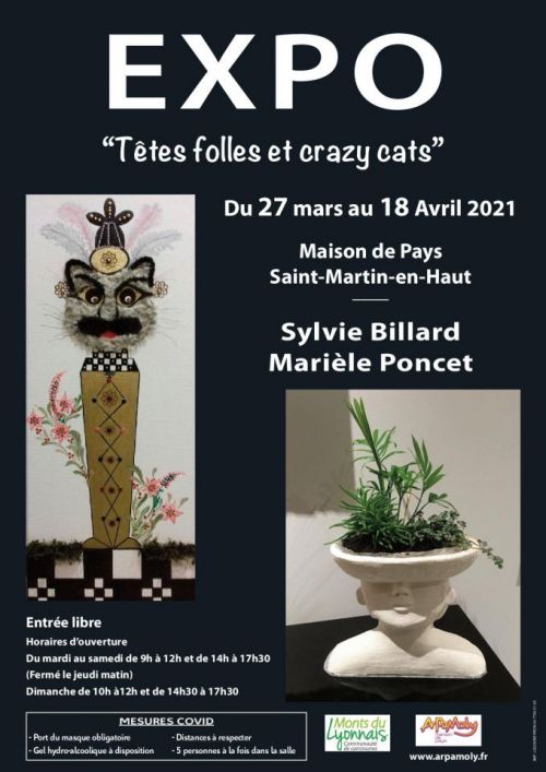 "Têtes folles et crazy cats" de Sylvie BILLARD et Marielle PONCET
